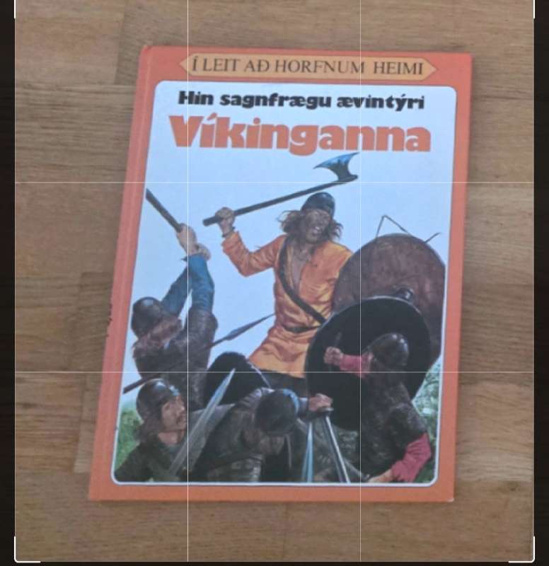 Hin sagnfrægu ævintýri Víkinga