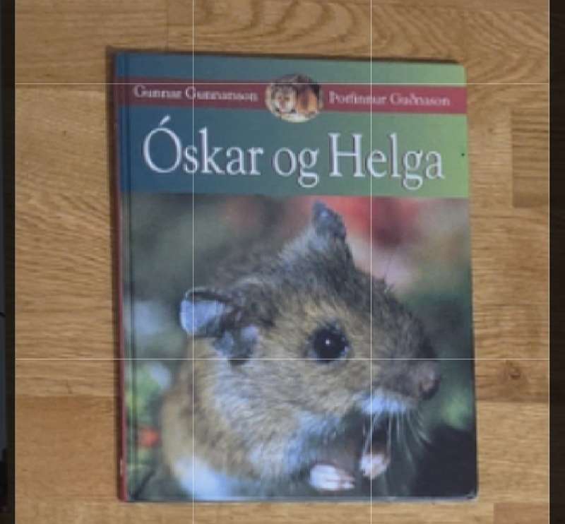 Óskar og Helga