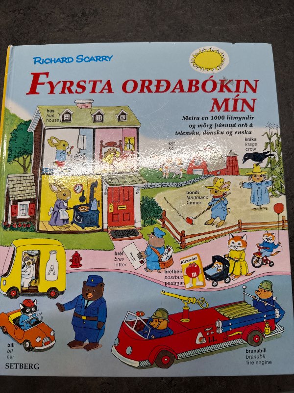 Fyrsta orðabókin mín